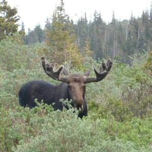 Meet your Posher, Bridgette